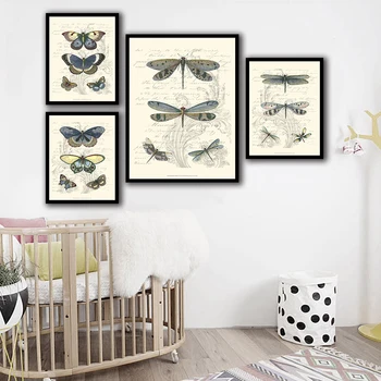 Európsky štýl dekoratívne vintage štýl entomology plagát motýľ lieta komár vedy plagát vysoká kvalita Art Decor o727