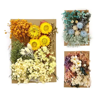 Sušené Lisované Kvety Reálne Sušené Kvety Suché Rastliny Pre Aromaterapiu Sviečka Epoxidové Živice Prívesok Náhrdelník Šperky Robiť
