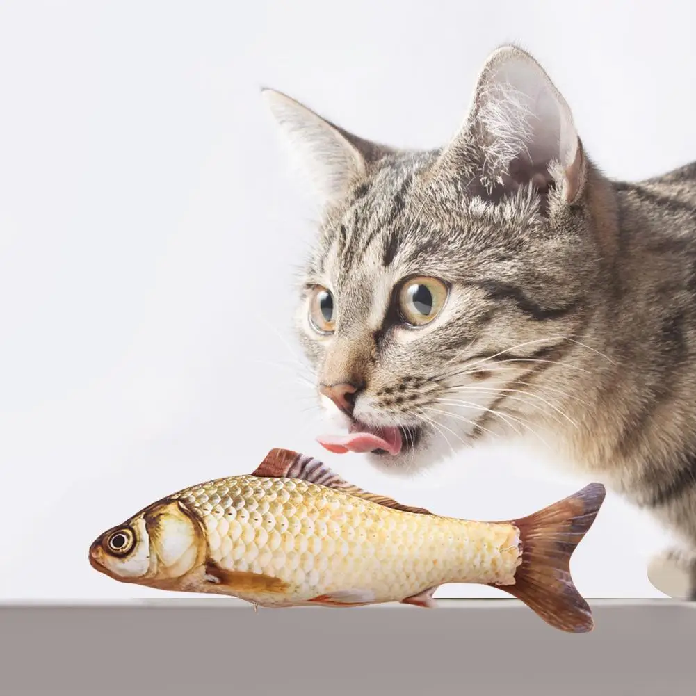 Obrázok /content/1pc-20-cm-umelé-ryby-plyšové-pet-mačka-šteňa-5-255639.jpeg